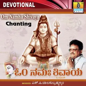 Om Namah Shivaya image