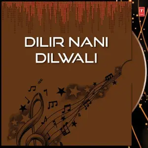 Dilir Nani Dilwali image