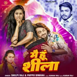 Main Hoon Sheela image