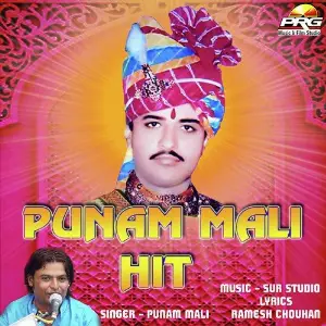 Punam Mali Hits image