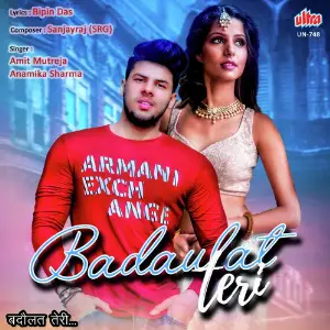 Badaulat Teri image