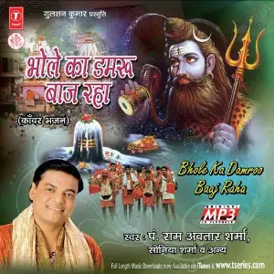 Bhole Ka Damroo Baaj Raha Various Artists