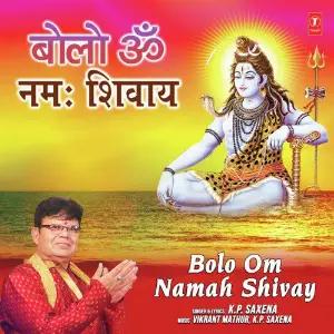 Bolo Om Namah Shivay image