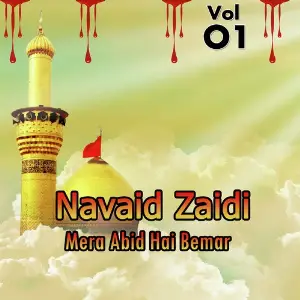 Navaid Zaidi - Mera Abid Hai Bemar, Vol. 1 image