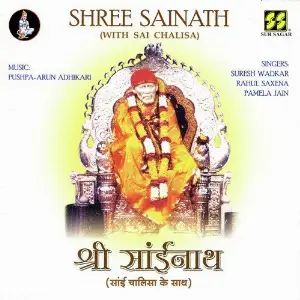 Shree Sainath (With Sai Chalisa) image