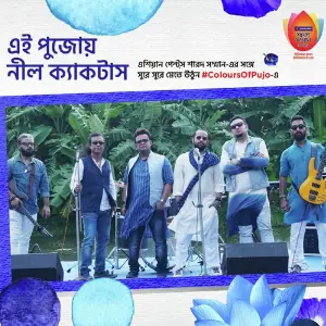 Asian Paints Colours of Pujo - Blue Song image