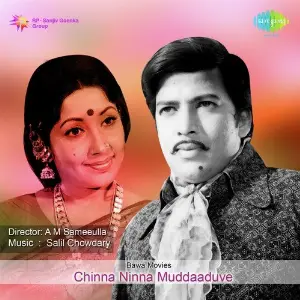 Chinna Ninna Muddaaduve image
