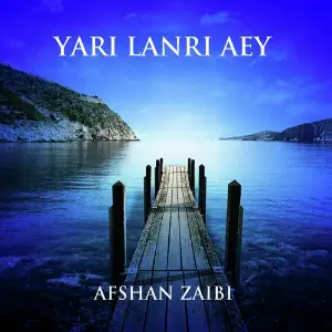 Yari Lanri Aey image