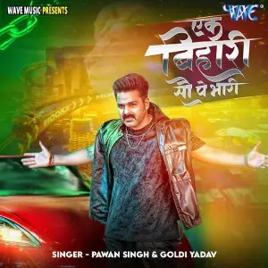 Ek Bihari 100 Pe Bhari image