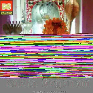 Haiye Rakho Goganam image