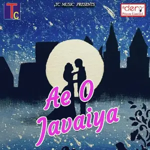 Ae O Javaiya image