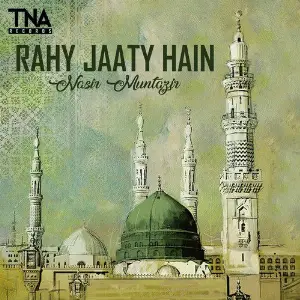 Rahy Jaaty Hain - Single image