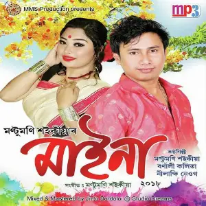 Maina 2018 image