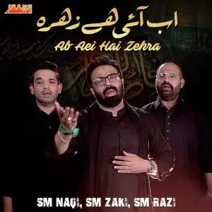 Ab Aei Hai Zehra - Single image