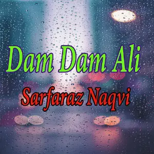 Dam Dam Ali image