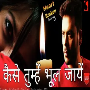 Kaise Tumhe Bhool Jaye image