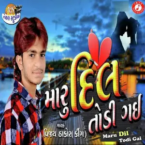 Maru Dil Todi Gai image