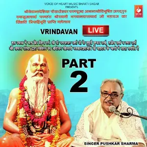 Vridavan Live Part 2 image