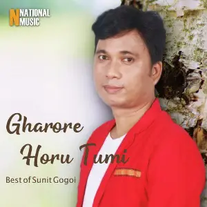 Gharore Horu Tumi - Single image