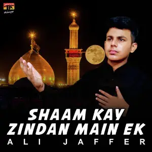 Shaam Kay Zindan Main Ek - Single image