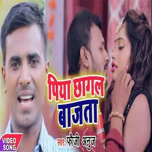 PIYA CHHAGAL BAJATA image