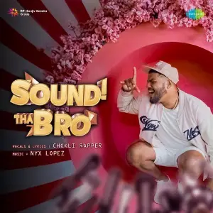 Sound Tha Bro image