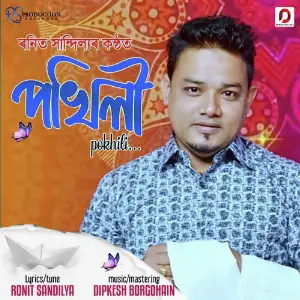 Pokhili - Single image