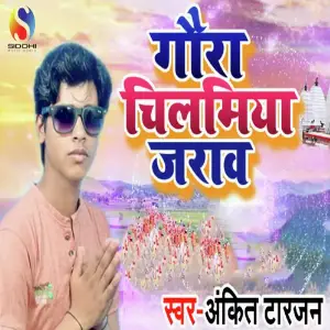 Gaura Chilamiya Jaraw image