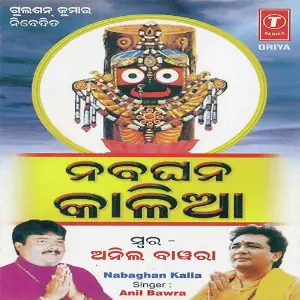 Nabaghan Kalia image