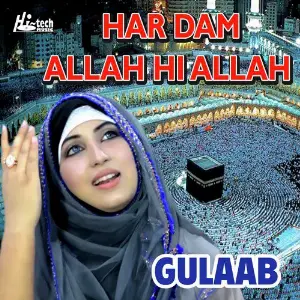 Har Dam Allah Hi Allah image