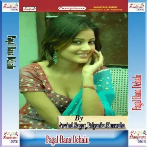 Pagal Bana Dehalu image