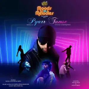 Pyarr Tumse Salman Ali, Himesh Reshammiya