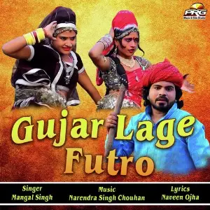 Gujar Lage Futro image