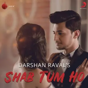 Shab Tum Ho image