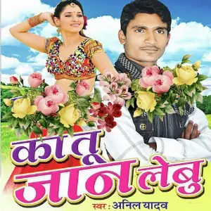 Ka Tu Jaan Labu image