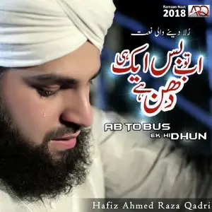 Ab To Bus Aik Hi Dhun Hai image