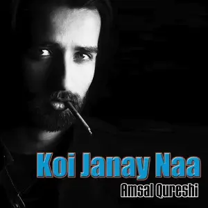 Koi Janay Naa image
