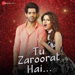 Tu Zaroorat Hai image