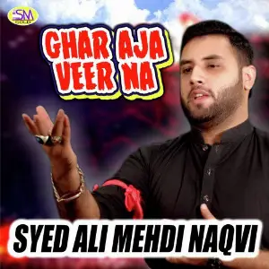 Ghar Aja Veer Na image
