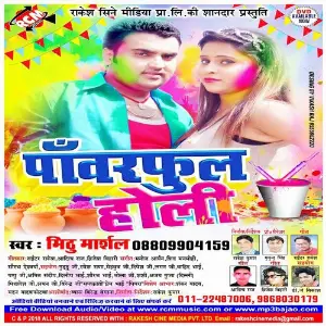 Powerfull Holi image