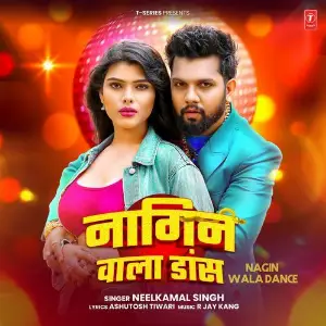 Nagin Wala Dance image