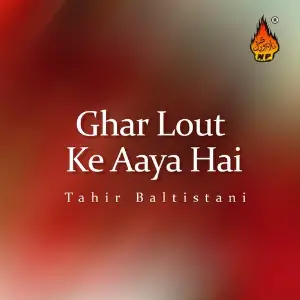 Ghar Lout Ke Aaya Hai image