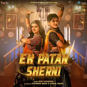 Ek Patan Sherni image