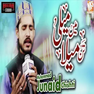 Main Meli Tann Mela - Single image