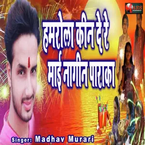 Hamrola Kin De Re Maai Nagin Paaraka image