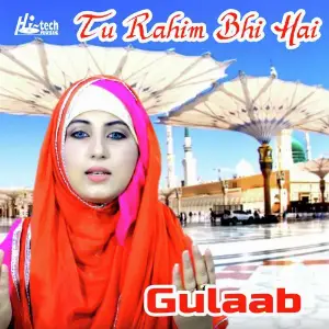 Tu Rahim Bhi Hai image