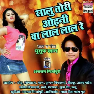 Saalu Tori Odhni Ba Laal Laal Re image