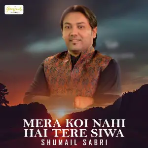 Mera Koi Nahi Hai Tere Siwa image