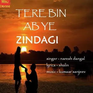 Tere Bin Ab Ye Zindagi image