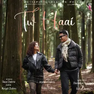 Tw Haai image
